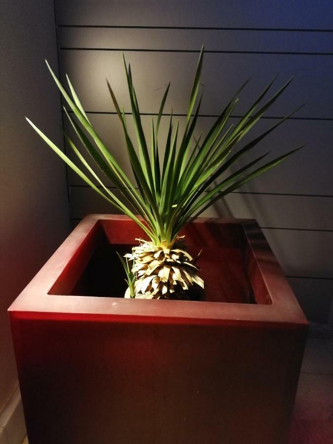 Vila Casa Euphorbia Las Negras Exteriér fotografie