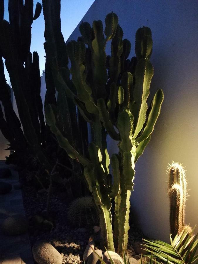 Vila Casa Euphorbia Las Negras Exteriér fotografie